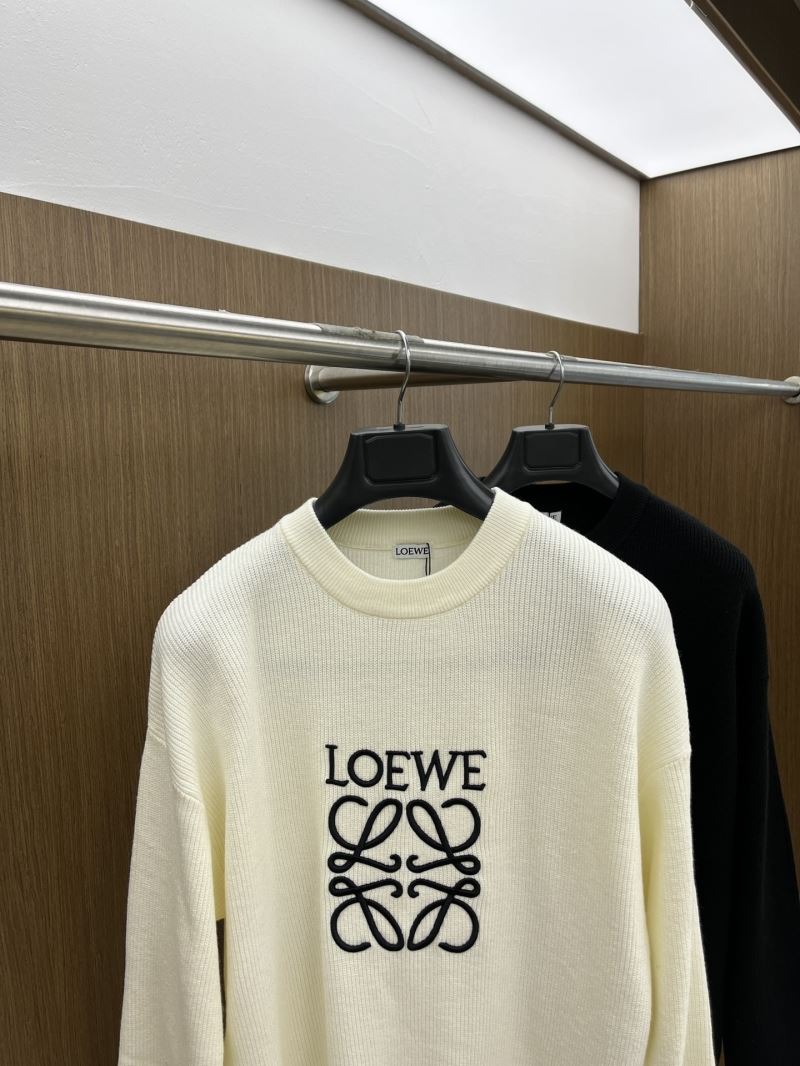 Loewe Sweaters